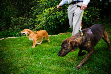 080621_CASE_153 080621_CASE_153